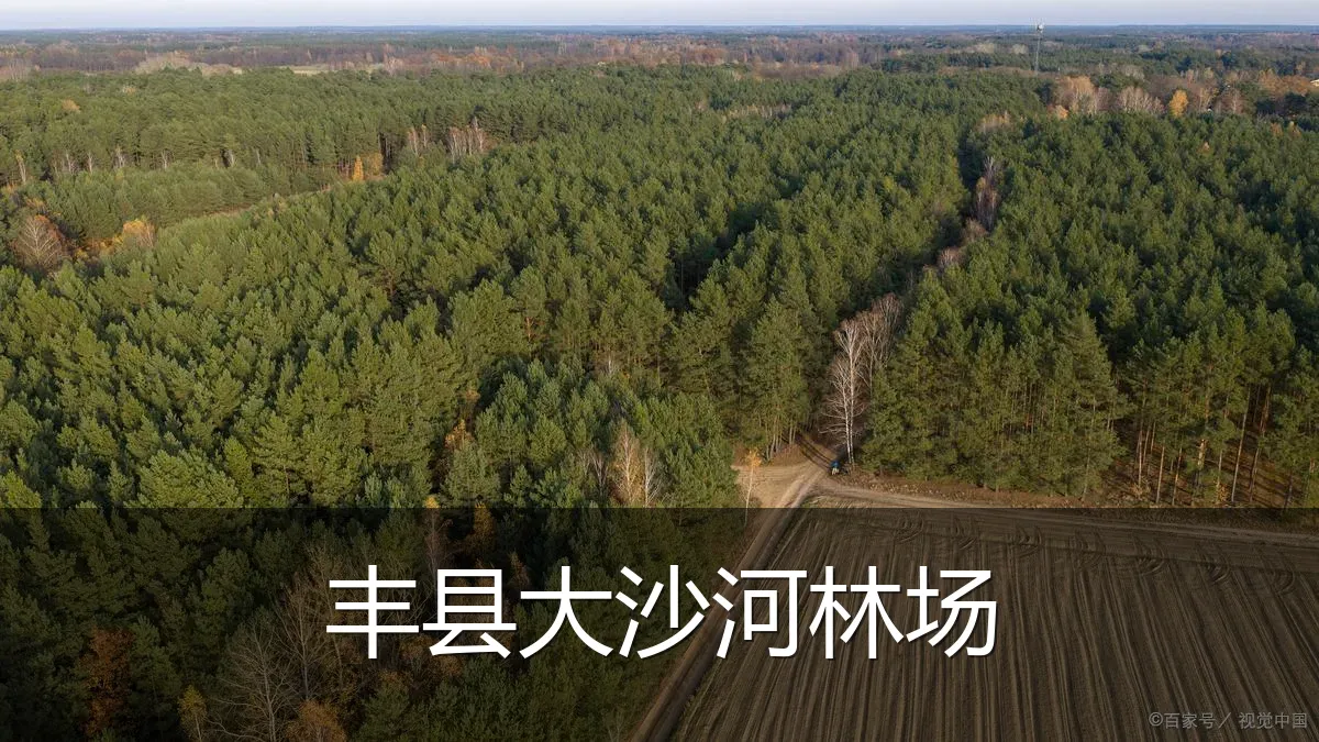 丰县大沙河林场