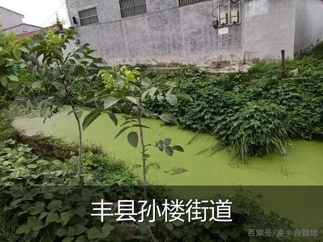 丰县孙楼街道