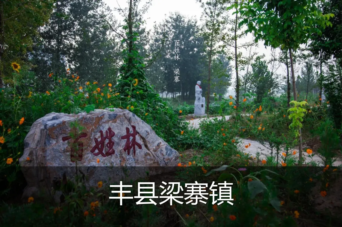 丰县梁寨镇