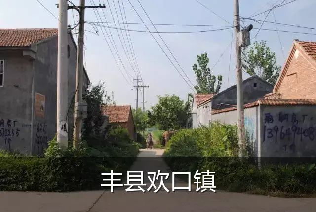 丰县欢口镇