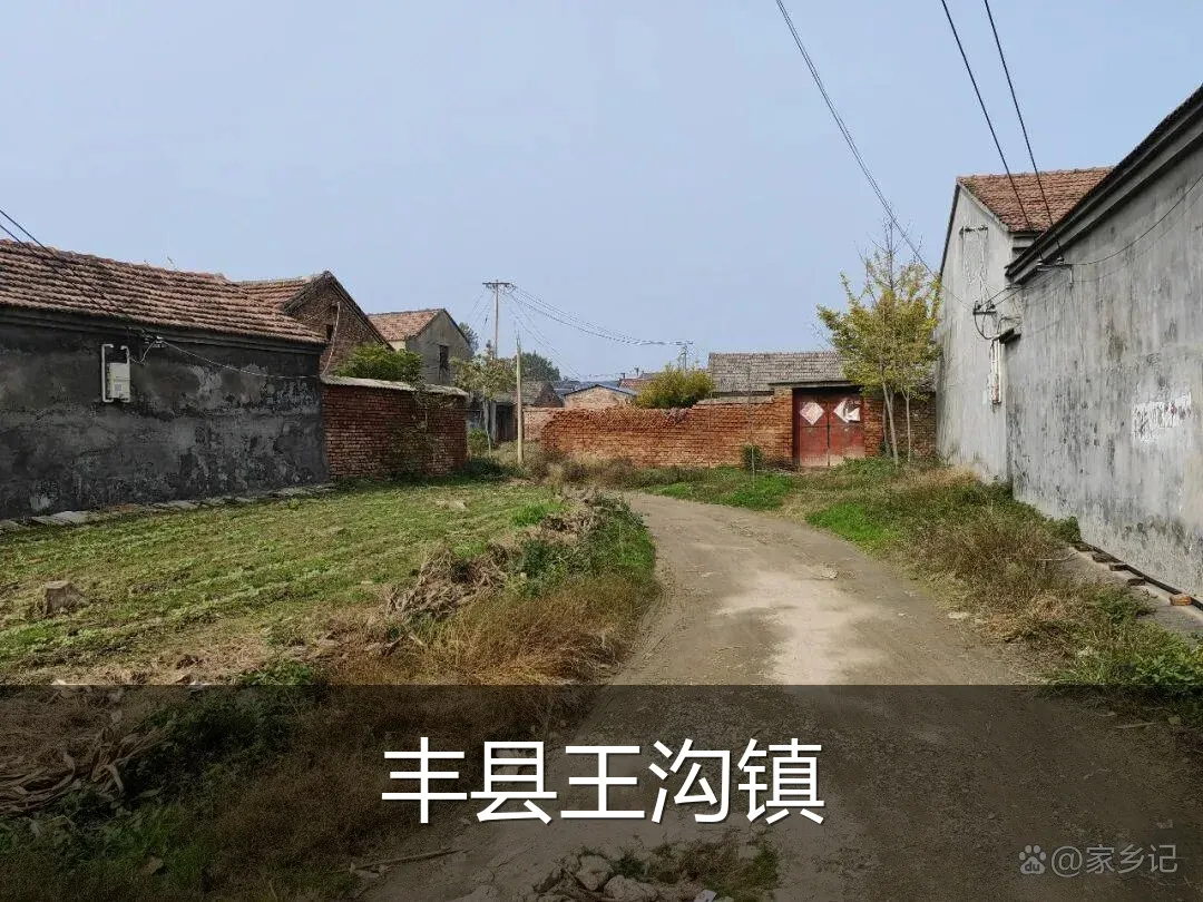 丰县王沟镇